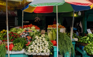 Government starts food safety initiative to strengthen agriculture