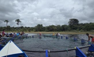 Aquaculture diversification continues to accelerate freshwater fish production across communities