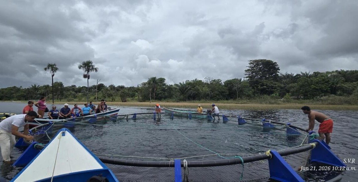 Aquaculture diversification continues to accelerate freshwater fish production across communities