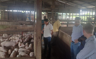 Seaboard Engages Gira Food to Assess Viability of Developing a Pork Industry in Guyana