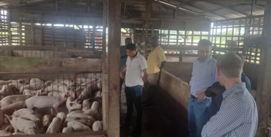 Seaboard Engages Gira Food to Assess Viability of Developing a Pork Industry in Guyana