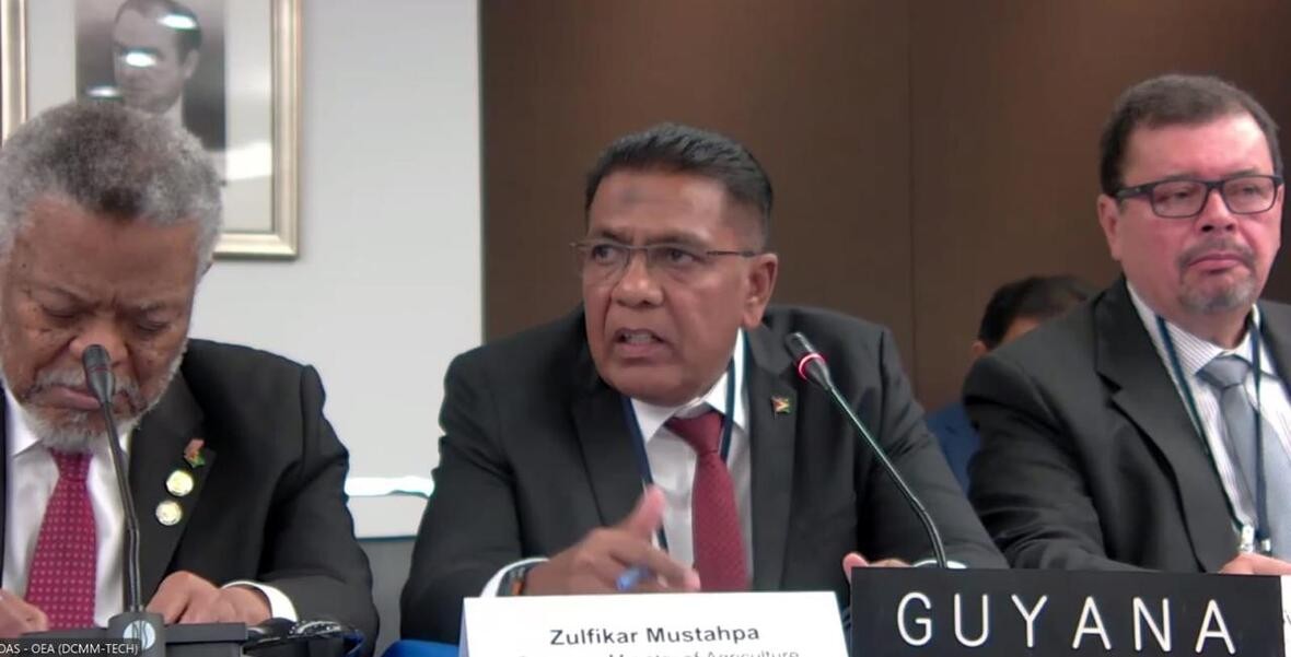 Guyana sees IICA’s AgriConnect Initiative as an engine of sustainable growth, food security