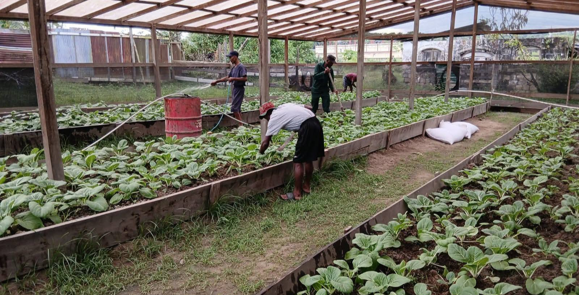 $2B injected into Region Nine agriculture development