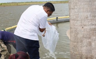 Gov’t expands cage aquaculture to Nappi Village