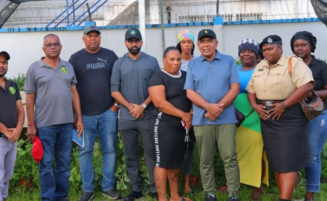Tiger Bay shade house project expansion awaits land – Min Mustapha