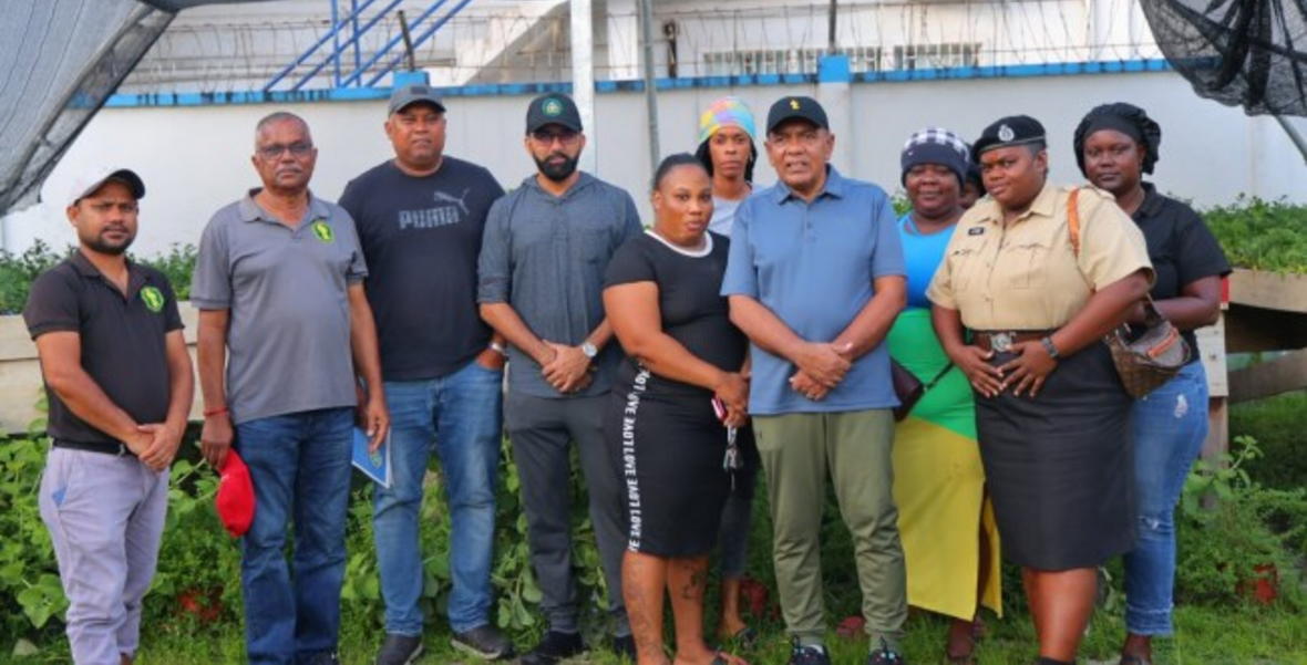 Tiger Bay shade house project expansion awaits land – Min Mustapha