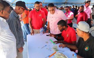 Over $862 million in relief grants distributed to Region Six rice farmers