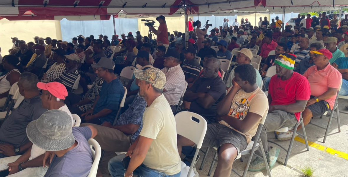 Over $1.18B in cash grants distributed to Region Five rice farmers