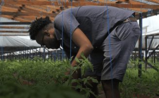  69 shade houses constructed in first half of 2026, benefiting over 460 farmers