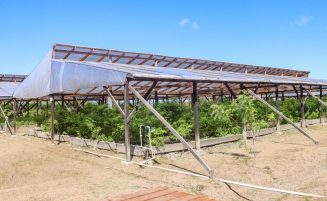 Technology driving agricultural expansion in Guyana – Min Mustapha