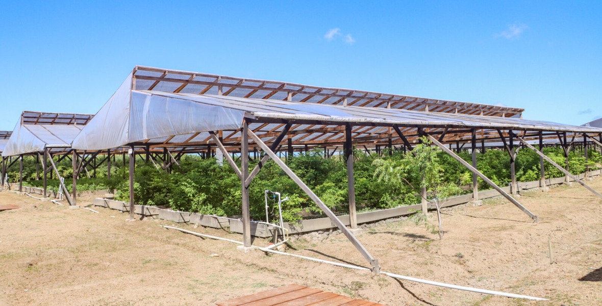 Technology driving agricultural expansion in Guyana – Min Mustapha