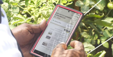 Nearly 4,000 farmers now using Farmers Connect app – Min Mustapha