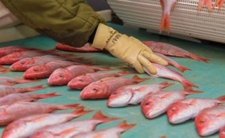 Stronger research needed to guide fisheries investment – Min Mustapha